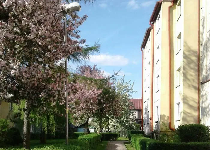 Jasminowy Apartment Kudowa Zdroj